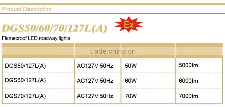 DGS70/127L(A) Flameproof LED roadway light