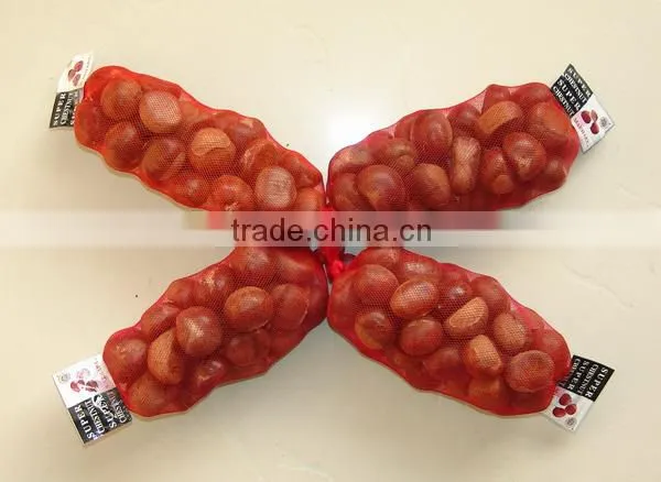 New Chinese Simmondsia chinensis