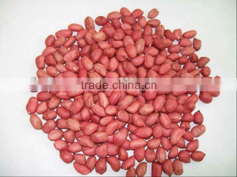 Shandong new crop best price peanut in shell for sale