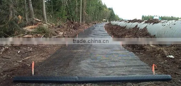 Polyester Geogrid