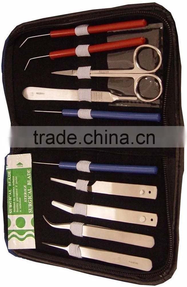 Disposable Dental Instruments Kit/Examination Kit/Surgical Kit