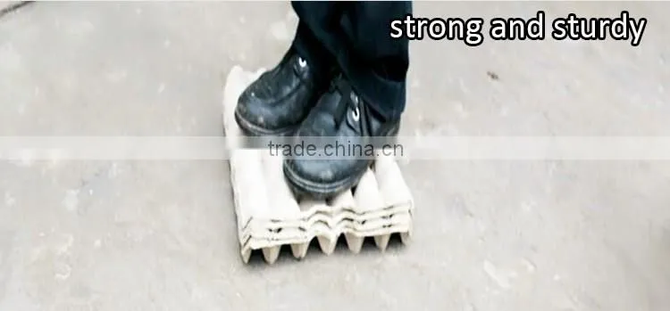 alibaba buy now plastic eggs trays