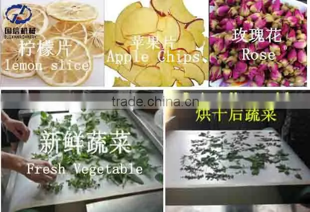 Hot Sale Resonable Price Potato Chips Microwave Dryer With CE