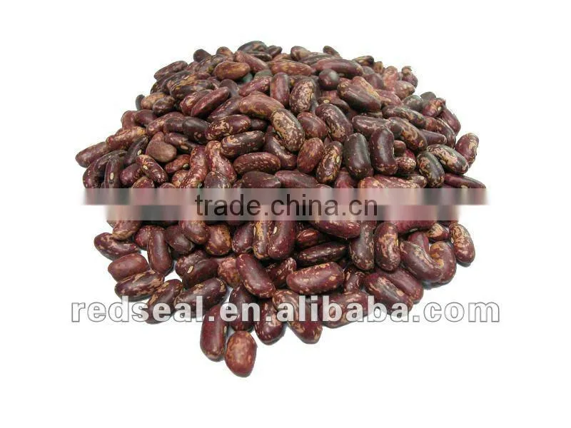 Purple light speckled kidney beans 2016