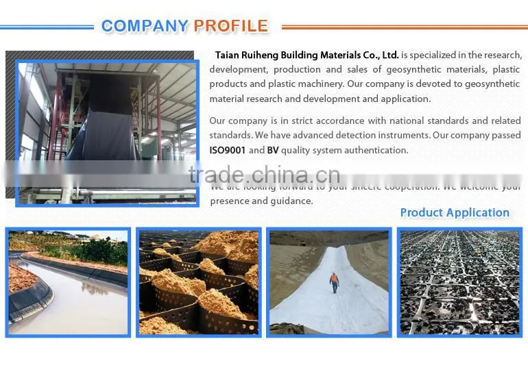 low price high strength steel plastic geogrid