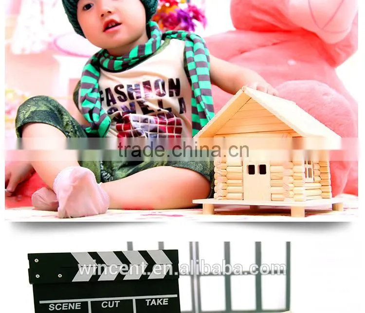 Kid's DIY Wooden Puzzle Piggy Bank House