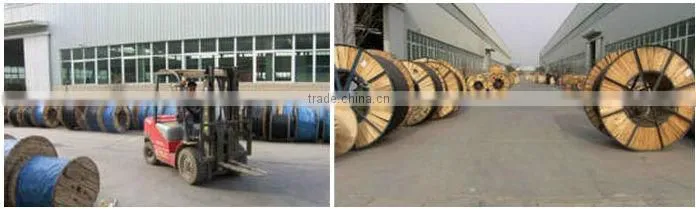 China Suppliers BS Standard Acsr Dog Conductor Price