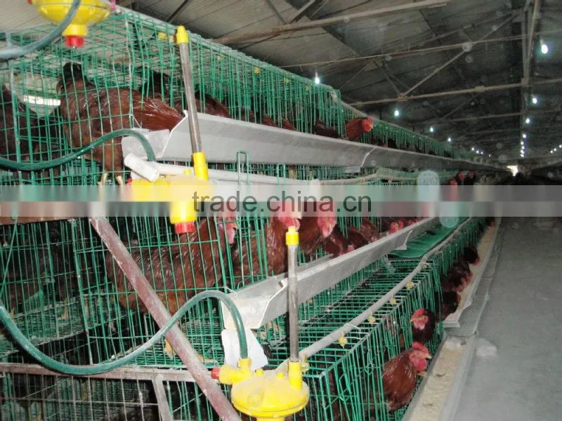 Durable economic steel wire mesh chicken cage