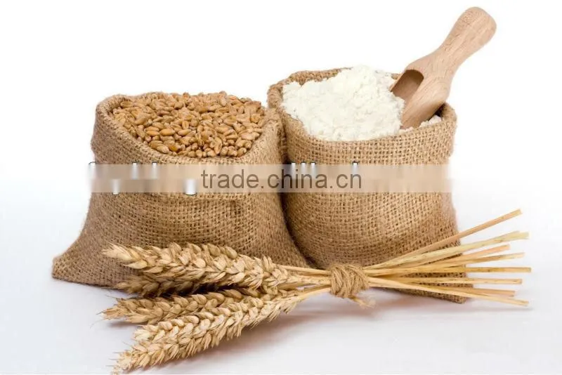 Double Speed Industrial Wheat Flour Mixer