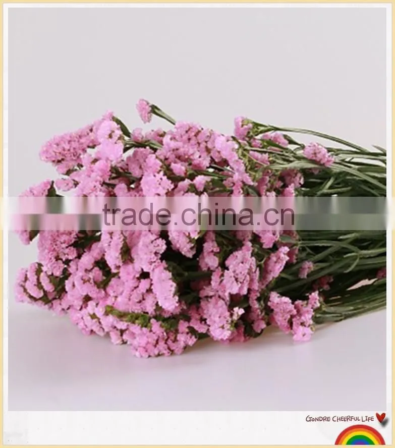 forget me not flower to make flower bouquets