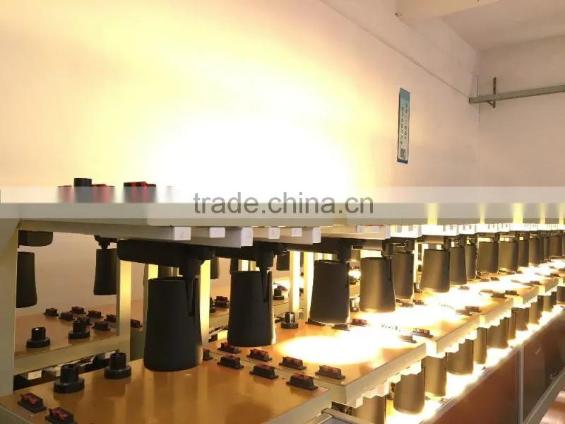 Hot Sales led gimbal ceiling downlight LED Grille Light 10W/20W/30w/40w/60w 2 headsled grille light