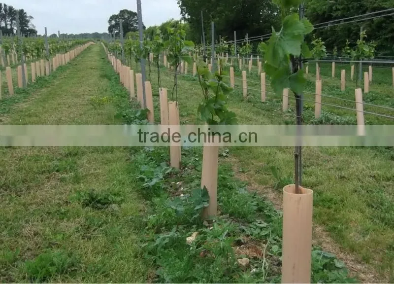 corrugated plastic tree guards,correx plant protector,coreflute guard