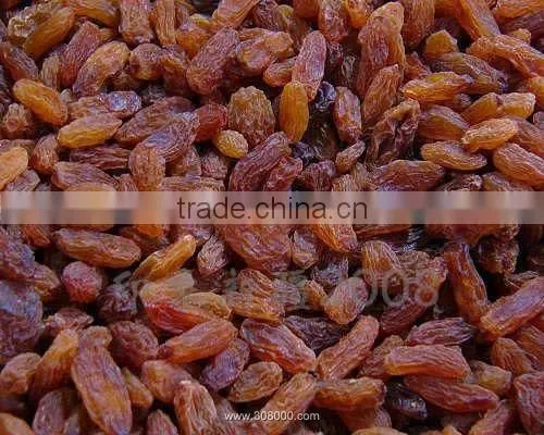 bulk raisins no sugar added