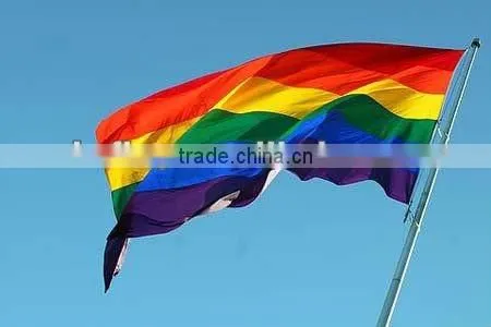 Gay Pride Rainbow hand held waving stick flag