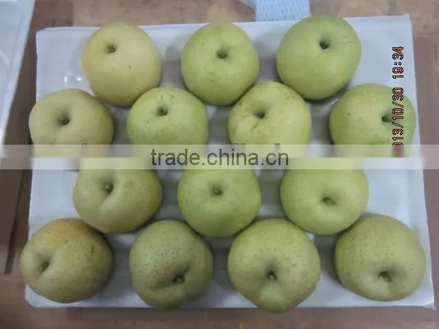 Chinese Gold pear,round pear