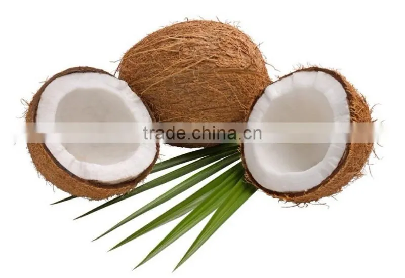 ISO Certified Spray-dried Coconut Milk Desiccated Powder Good Water-soluble Powder Improve Immunity Coconut Powder