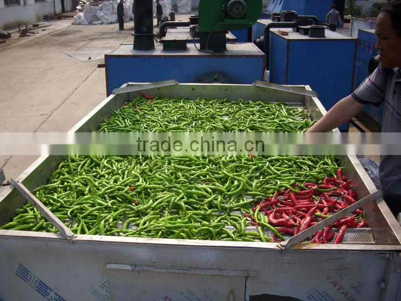DY-BYD1 herb dryer