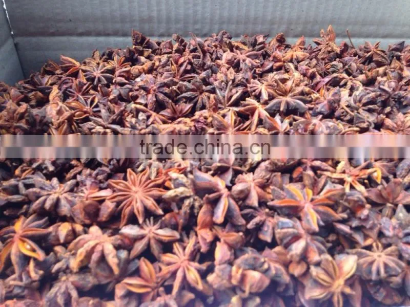 HIGH QUALITY AUTUMN STAR ANISSED