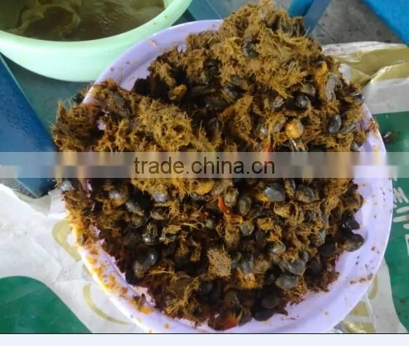 palm oil press machine palm oil extraction machine plam oil processing machine