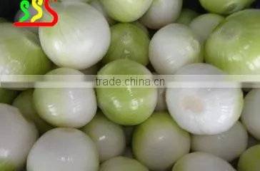 stainless steel factory price onion peeling machine