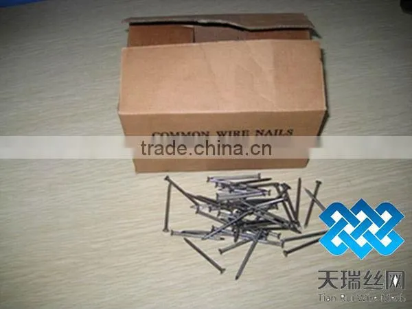 Galvanized iron nails (factory)