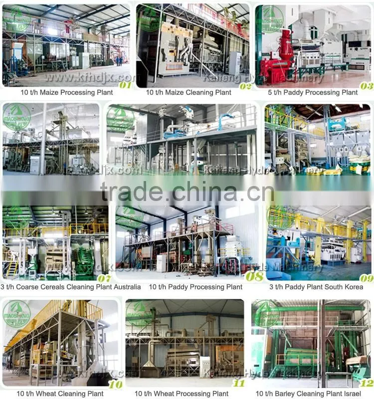 5XZ-10 Blighted Paddy rice gravity separator machine