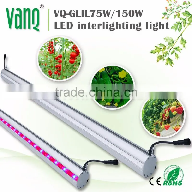 2017 top led strip 150w plan light grow home hydroponic veg