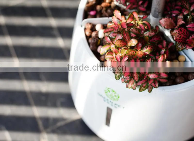 plant growth light