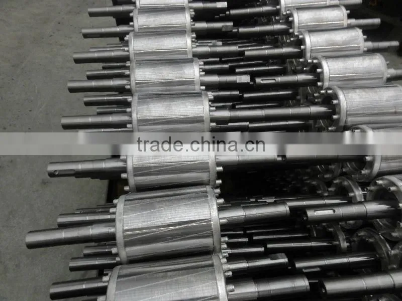 AC Electric Motor Rotor