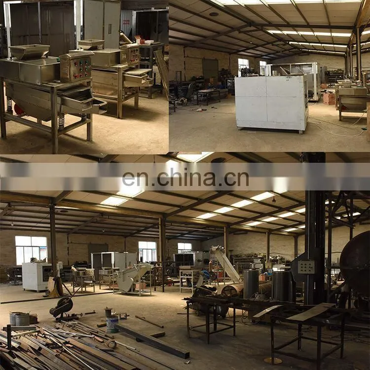 TAIZY cashew nut shelling machine Artificial cashew nut machine/cashew nut shelling machine with factory price