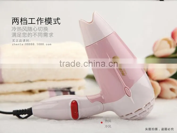 Xmas Gift Hair Dryer