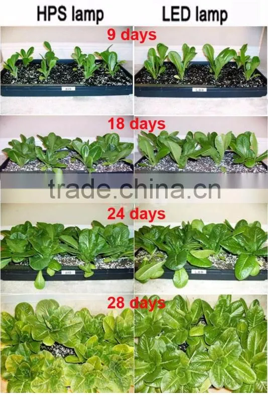 factory price hot selling hydroponics 20W led grow lights for plants growth