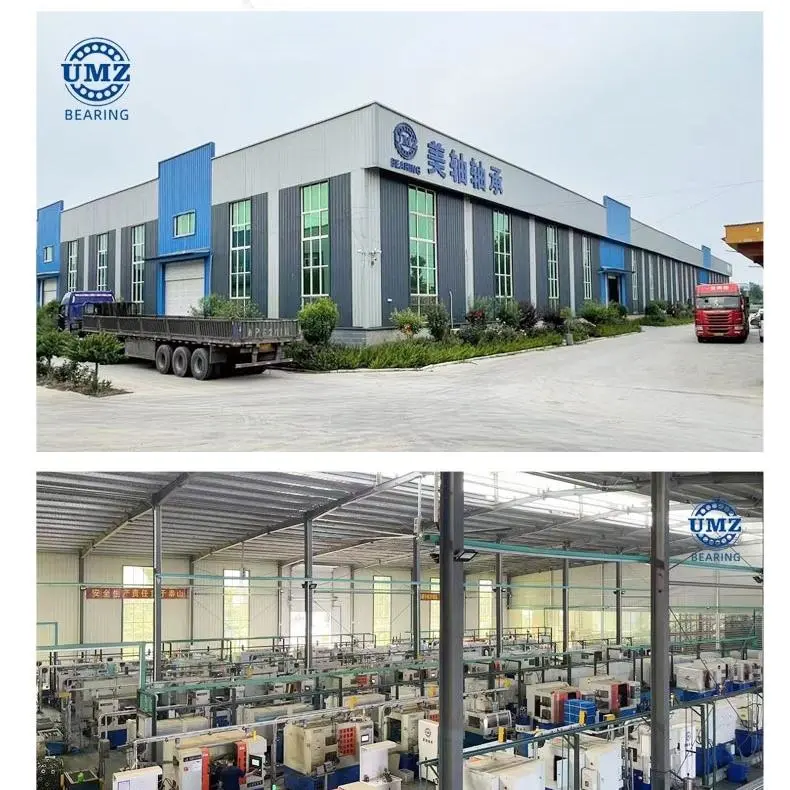 Shandong Meizhou Precision Bearing Co.,Ltd company overview - view 1