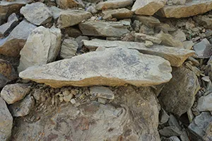 Shale