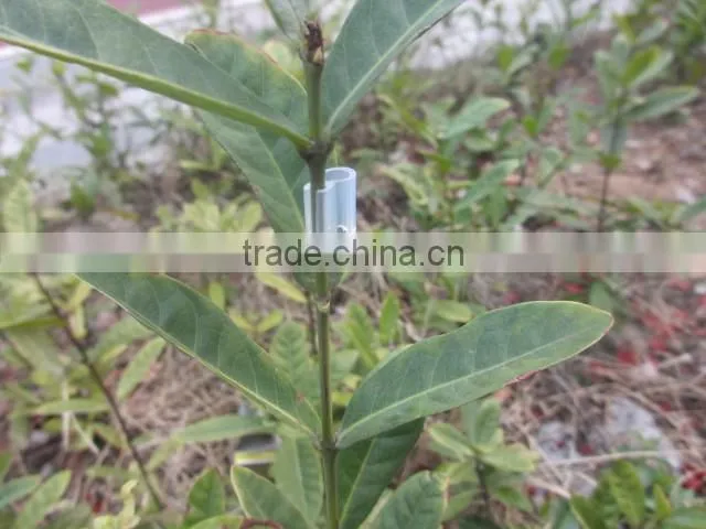 food grade FDA approval tomoto silicone grafting clips