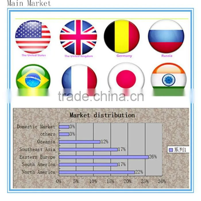 stationery OEM factory and customized decorative pp plastic file holder bag