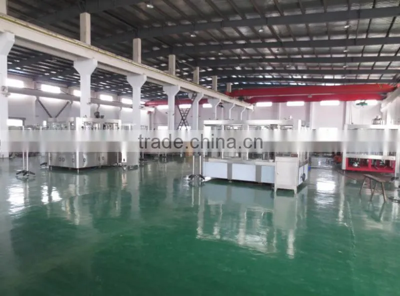 MIC-12-12-6 Micmachinery automatic mineral water plant cost mineral water plant machinery cost 3000-4000bph with CE