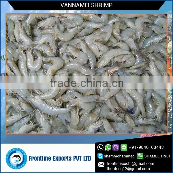 2016 Top Selling Fresh Frozen White Vannamei Shrimp at Lowest Price