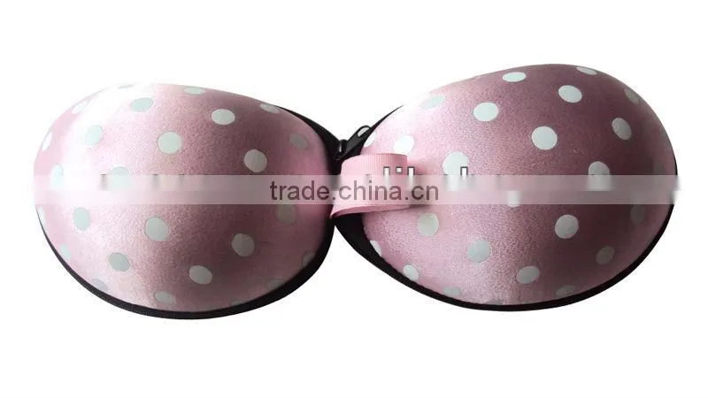 Eva bra case