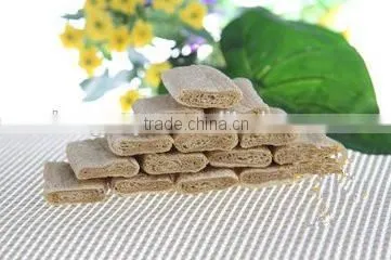 Tissue Proteins Extruder Machine/Equipment