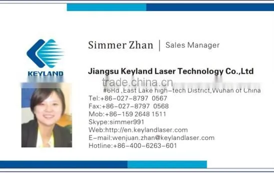 1200 Solar Cell Per Hour For Solar Panel Stringer Machine Automatic Line