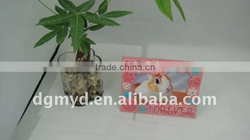 Beautiful and special Promotion picture frames