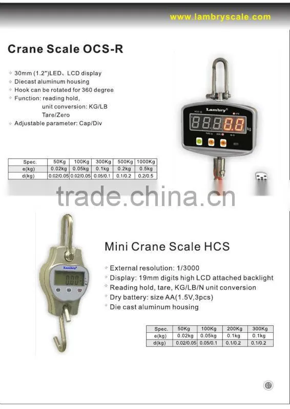 Small Weighing Scale/Crane Scale