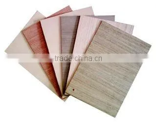 Black film faced plywood factory