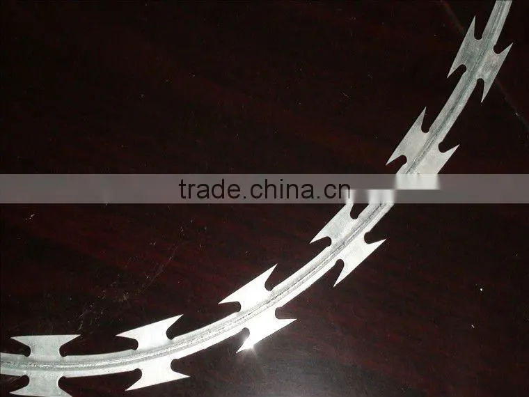 bared razor wire(high quality low price)
