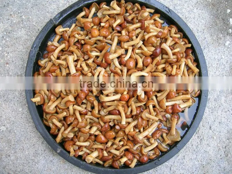 mushroom manufactures
