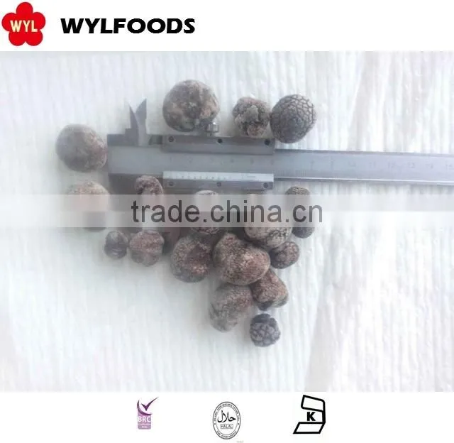 IQF frozen summer truffle high quality good price
