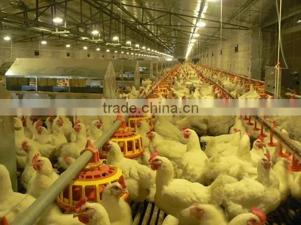 U-Best poultry farm manual egg collection box/laying nest