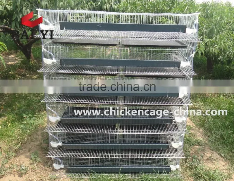Quail Egg Cage For Quail Egg Production