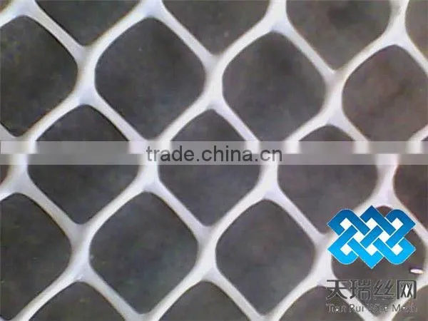 Plastic net